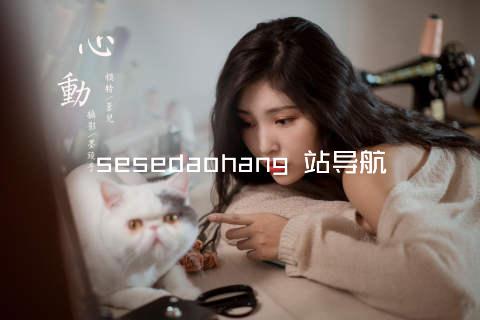 sesedaohang 站导航